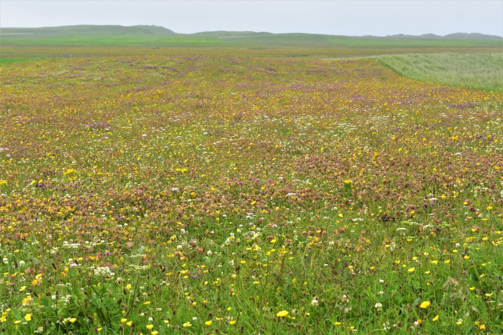 Mochair, Hougharry, North Uist