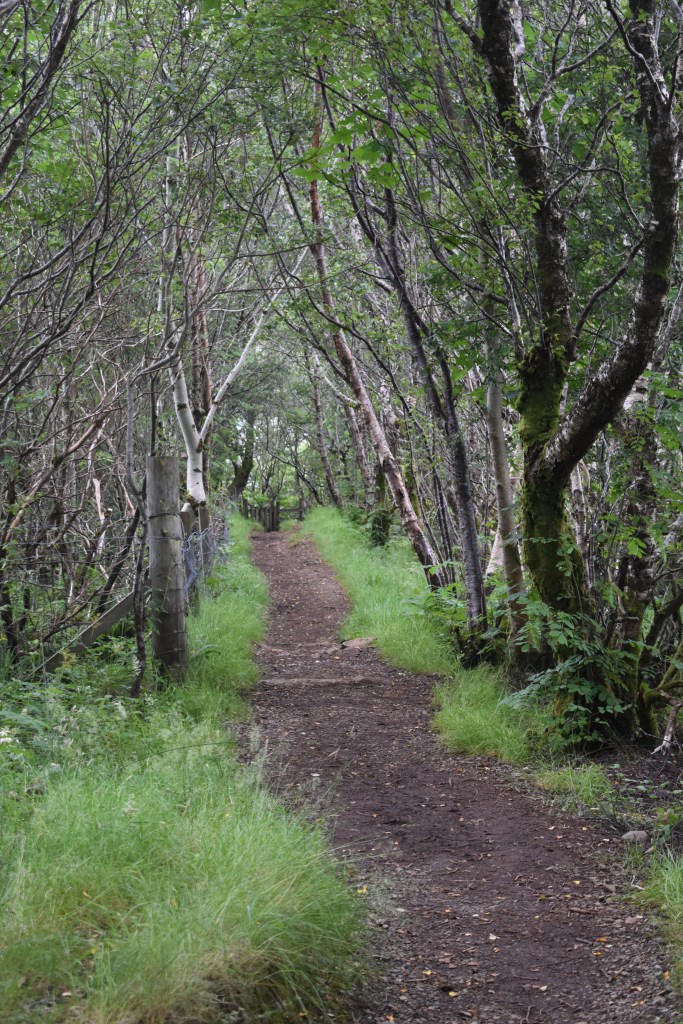View on Portree walk